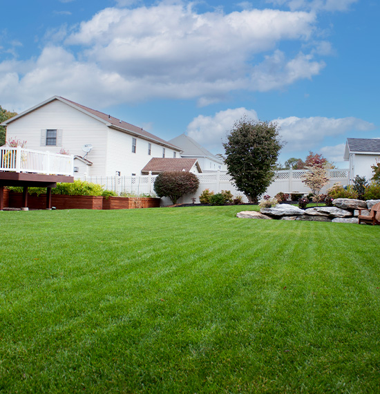 back yard lawn