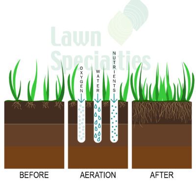 Aeration Illustration