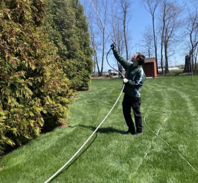 Tree Spraying