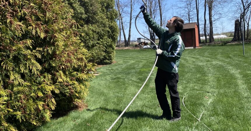 Tree Spraying