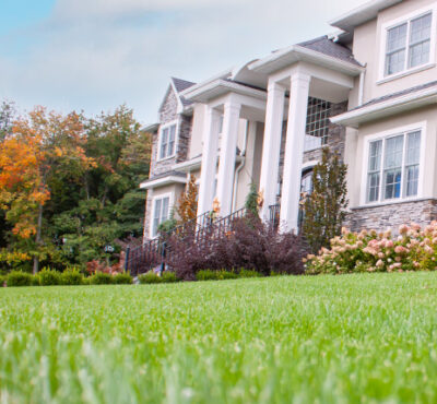 House with grass