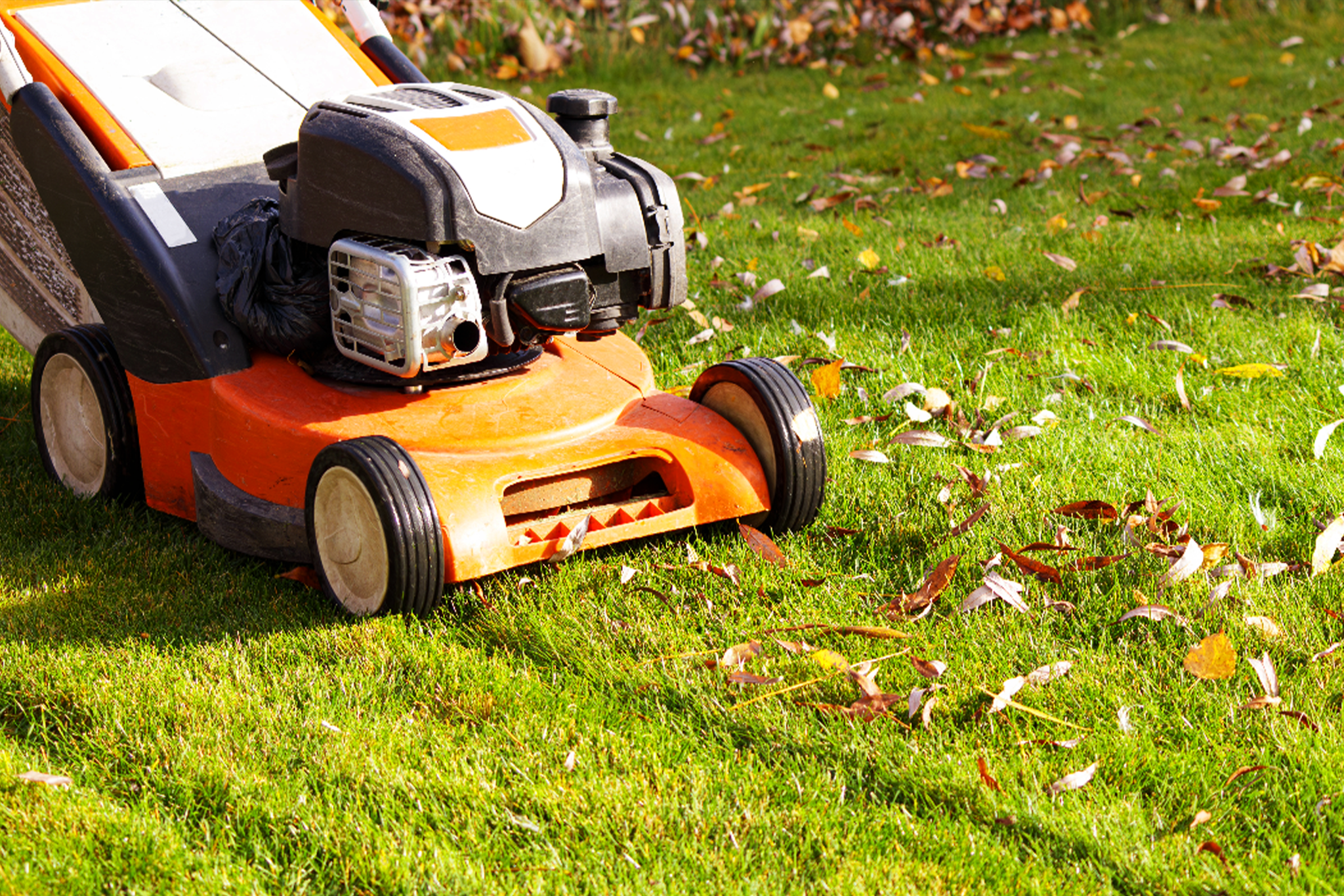 November Lawn Care