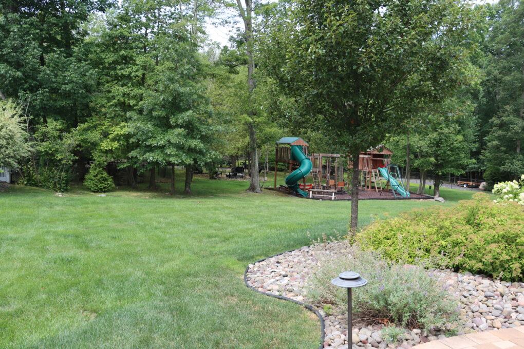 Tree and Shrub Care